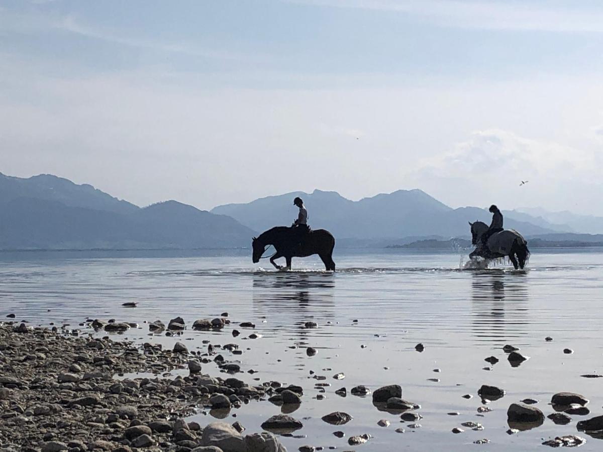 Ad Fontes Suite Mit Bergblick & Sauna Übersee エクステリア 写真